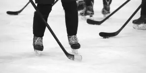 hokey players